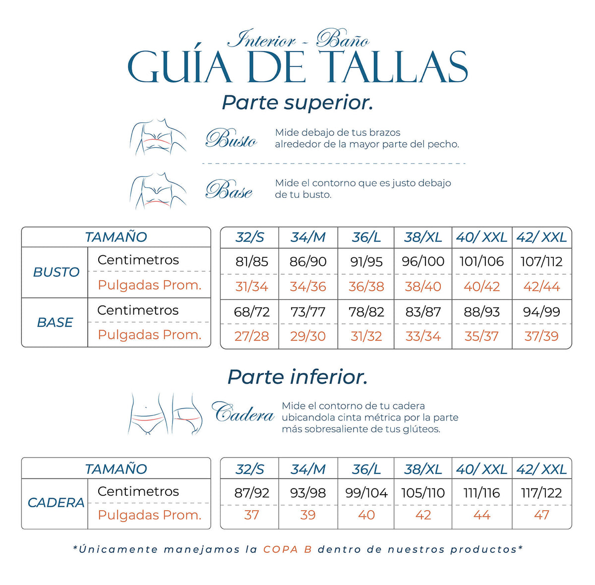 Guía de tallas – Vanessa Ropa Interior
